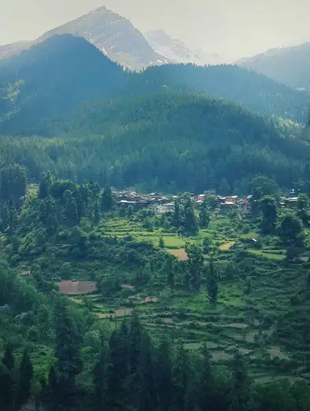 पुल्गा , हिमाचल प्रदेश